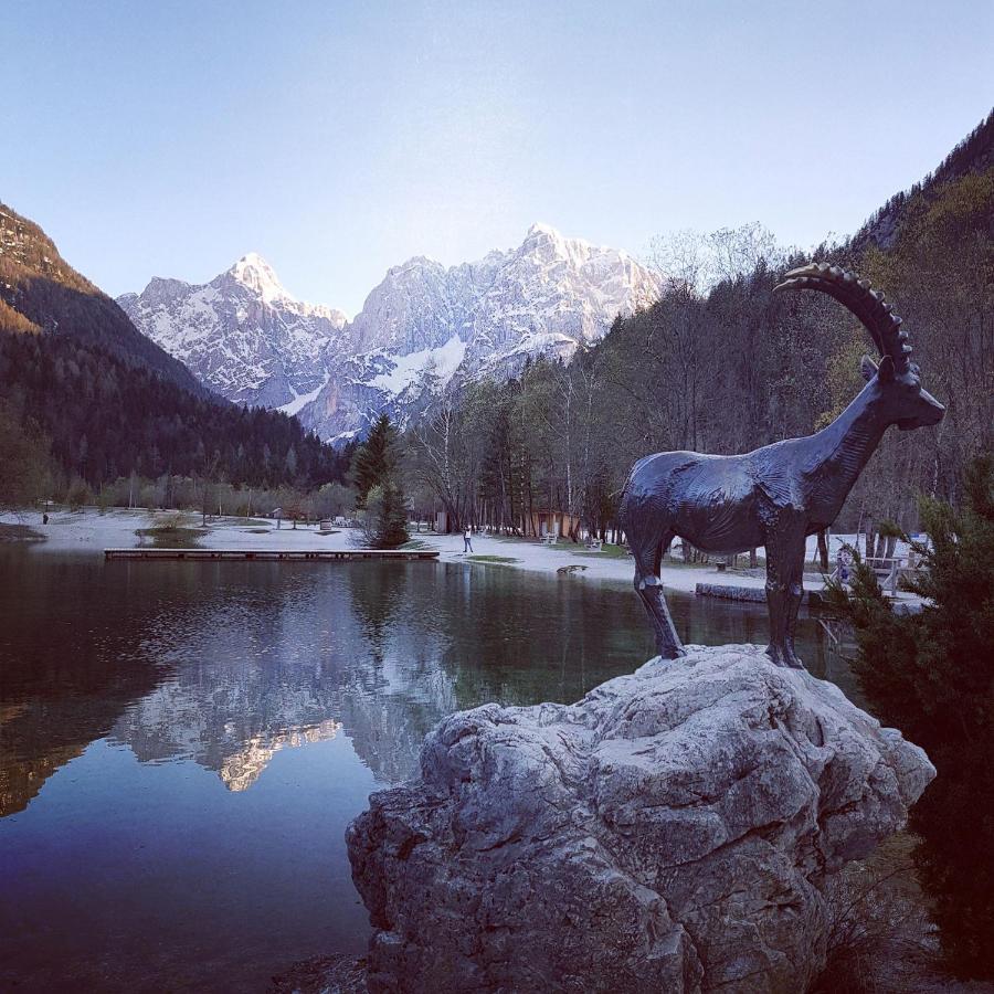 Aparthotel Pr' Jakapč' Mojstrana Exteriér fotografie